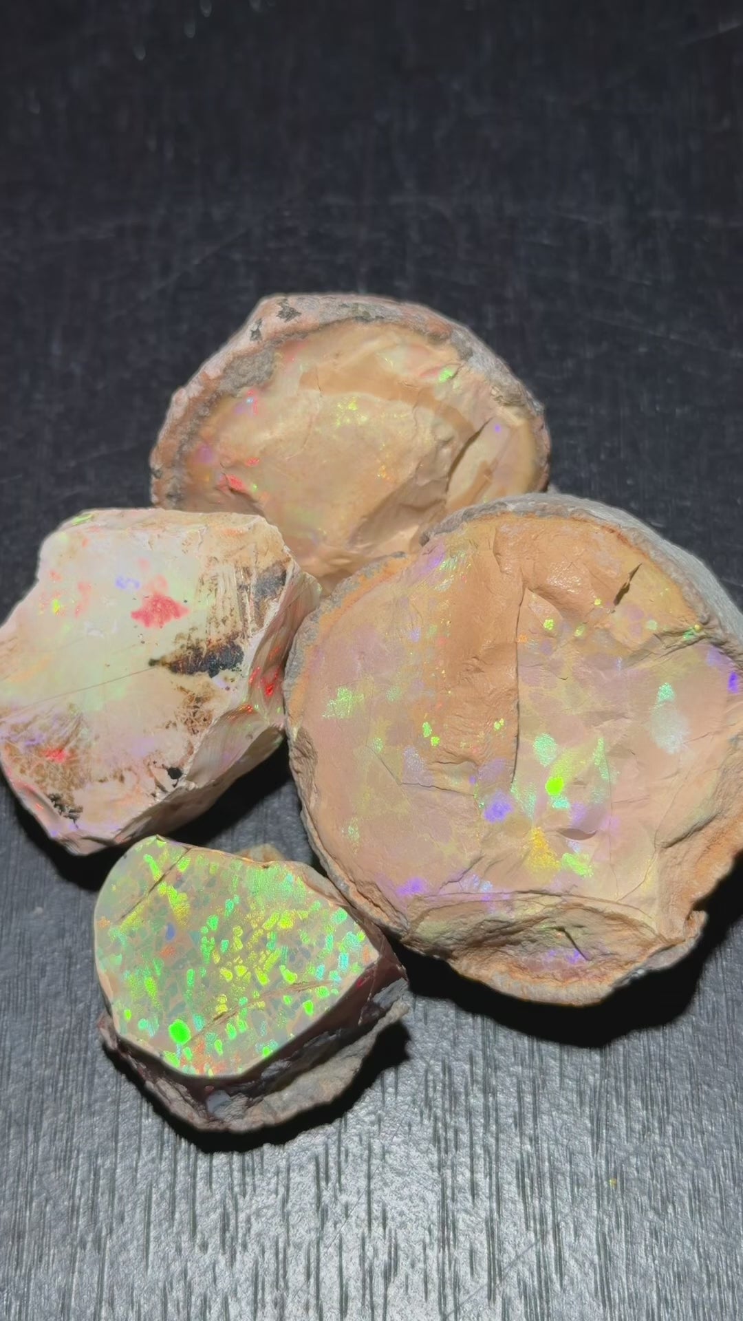 Chocolate Opal Bundle